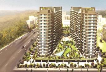 Home And Soul Beetle Lap Update