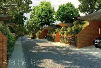 Total Environment After The Rain Update