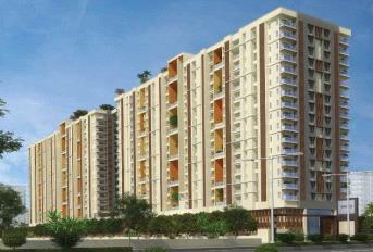 Appaswamy Capella Update