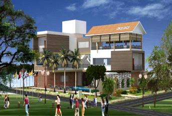 BLOOMS – TULIPS about project