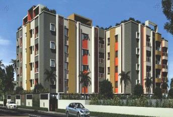 GP Pearl Iris Update