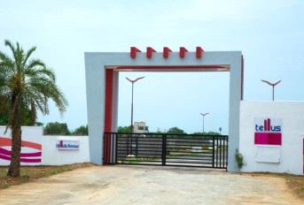 Tellus Avenue Update