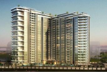 Unique IS Paradise Update