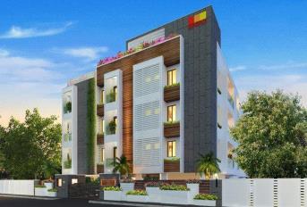 Spero Bougainvillea Update