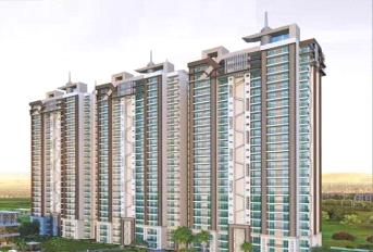 Supertech Capeluxe Update