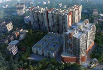 Purti Flowers Update