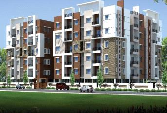 Green Meadows Update