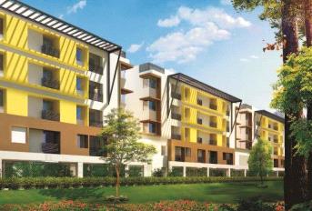 Zonasha Elegance Phase 2 Update