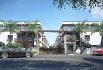 MIMS Northbrook Update