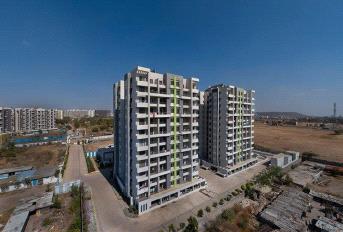  Vascon Citron Phase 2 Update