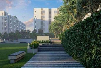 Incor VB City Update