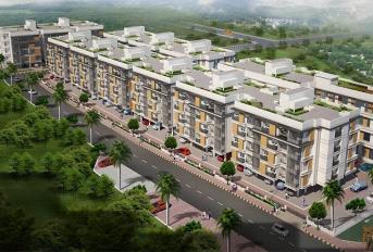 S And P Essense Update