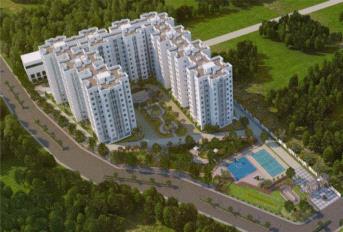 Bren Northern Lights Update