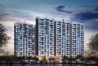 Provident Park Woods Update