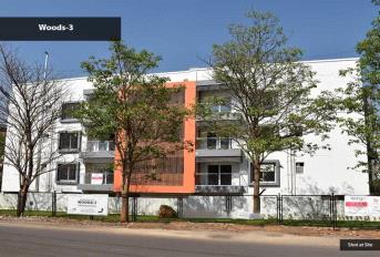 Renaissance Woods 3 Update