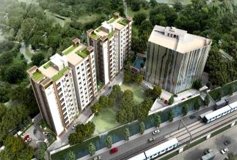 DRA Tuxedo Elite Update