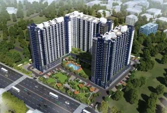 Altis Ashraya Update