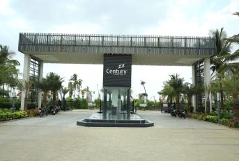 Century Greens Update