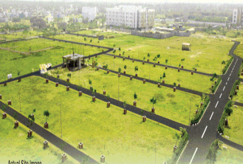 VGN Spring Field Update