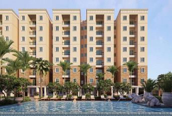 GM Orchid Enclave Update