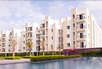 Jains Alpine Meadows Update