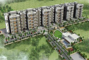 Venkatesh Graffiti Update