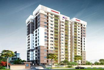 Confident White Berry Update