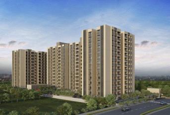 Goyal Orchid Exotica Update