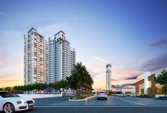 Concorde Auriga Update