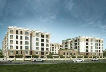 Radiance Sapphire Update