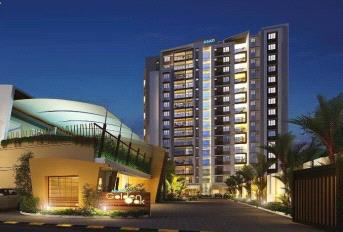 ABAD Golden Oak Update