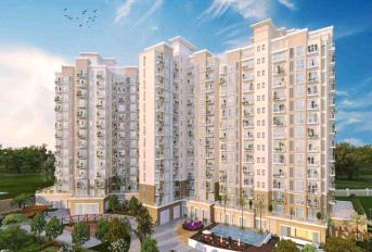 Acme Eden Court Update