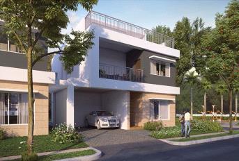 Adarsh Sanctuary Update