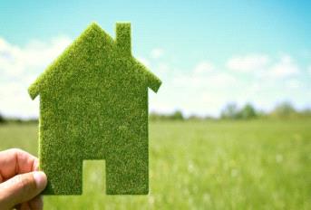 Pioneer Gardenia Update