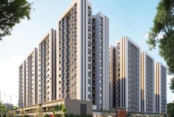 Shaligram Prime Update