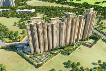 Signature Golf Greens Project Deails