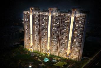 Gulshan Dynasty Update