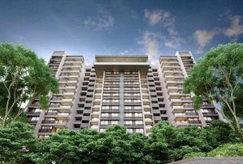 Arvind Bel Air Update