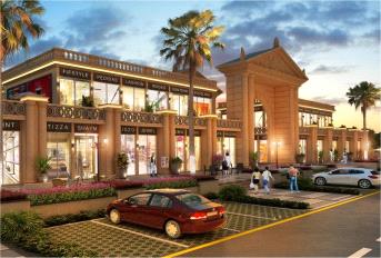 Signum 79 Project Deails