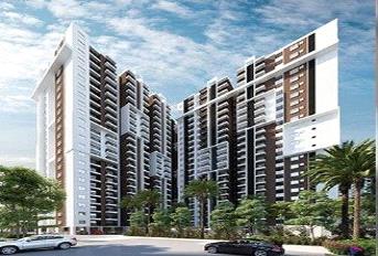 Candeur Signature Update