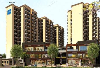 Landmark The Homes 81 Update