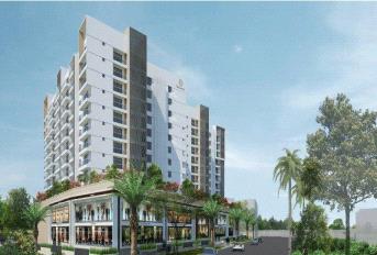 Namishree Trinity Update