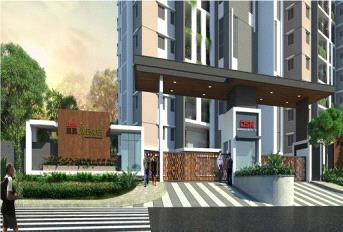 DSR RR Avenues Update