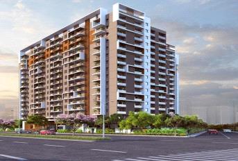 RNP Stellar 1 Update