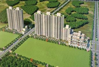 Signature Global Millennia 4 Update