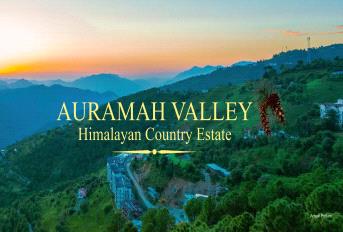 Auramah Valley Shimla