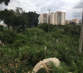    Residential Plot for sale in AECS Layout (H.A.L Society Site) Bangalore