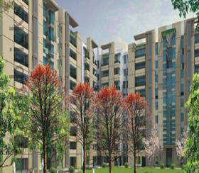  1 BHK  Apartment for sale in  Faridabad