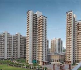  3 BHK  Apartment for sale in Puri Diplomatic Greens Gurgaon
