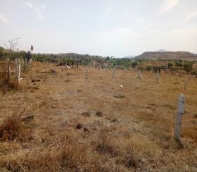    Residential Plot for sale in fortune park Pune